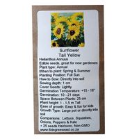 6 Degrees East Heirloom Flower  Seeds - Sunflower - Tall Yellow 